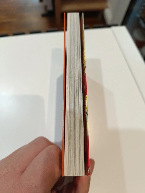 Bastard tome 15 Manga Family Store