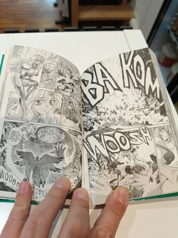Bastard tome 19 Manga Family Store