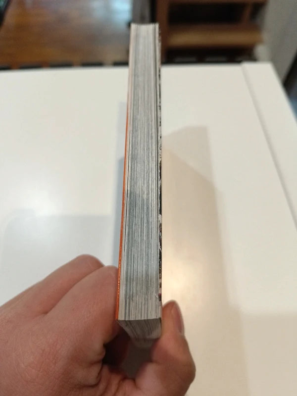 Bastard tome 21 Manga Family Store
