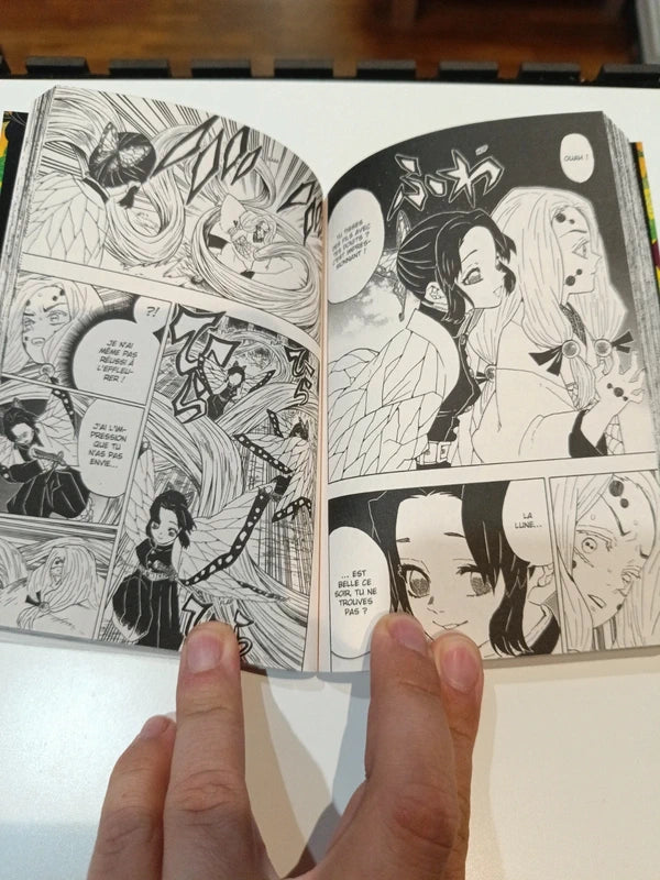 Demon Slayer tome 5 Manga Family Store