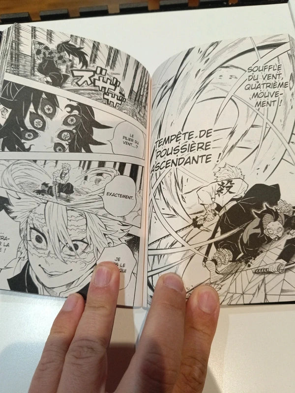 Demon Slayer tome 19 Manga Family Store