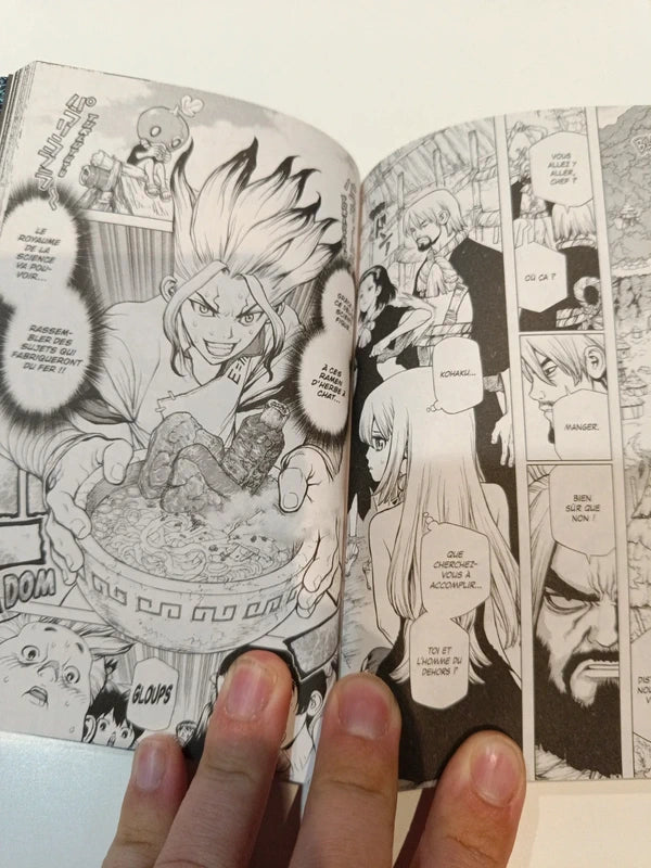 Dr stone tome 3 Manga Family Store