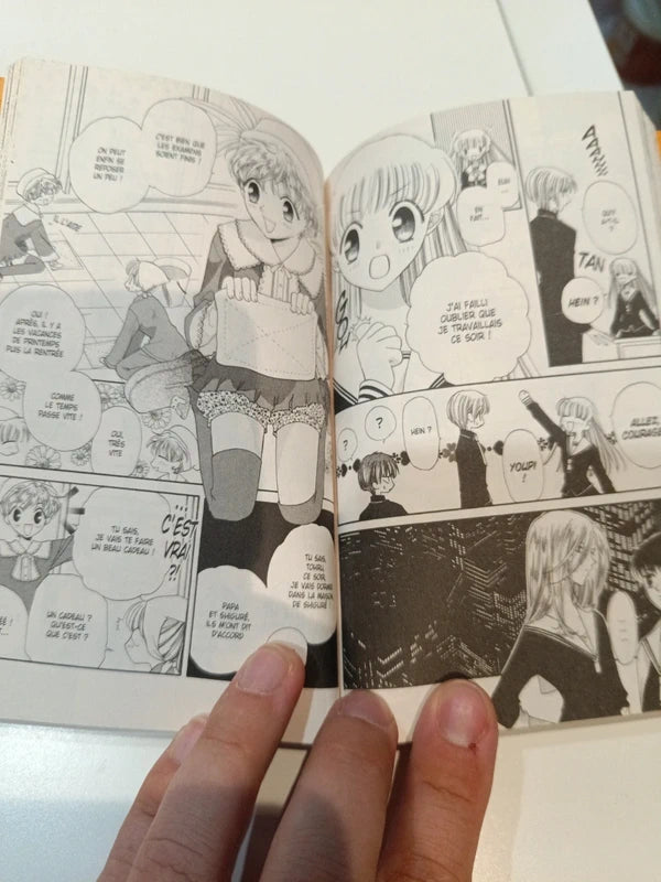 Fruits basket tome 3 Manga Family Store