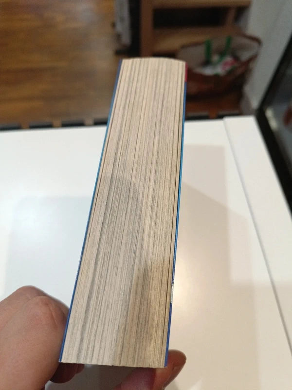 Pokémon Rubis et Saphir tome 3 Manga Family Store