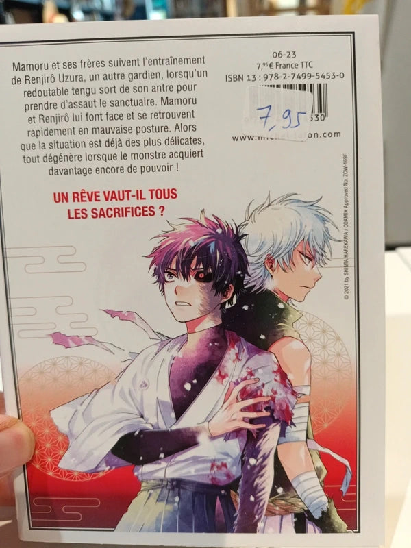 Tengu hunter brothers tome 2