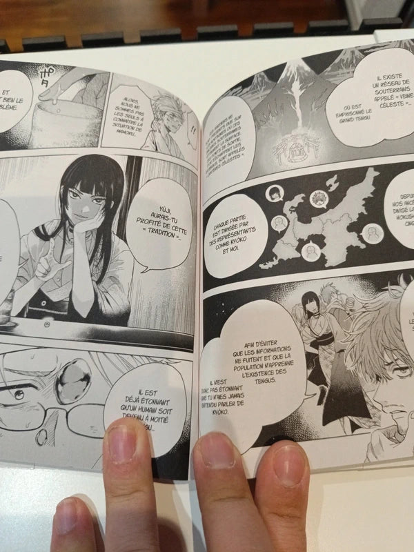 Tengu hunter brothers tome 2