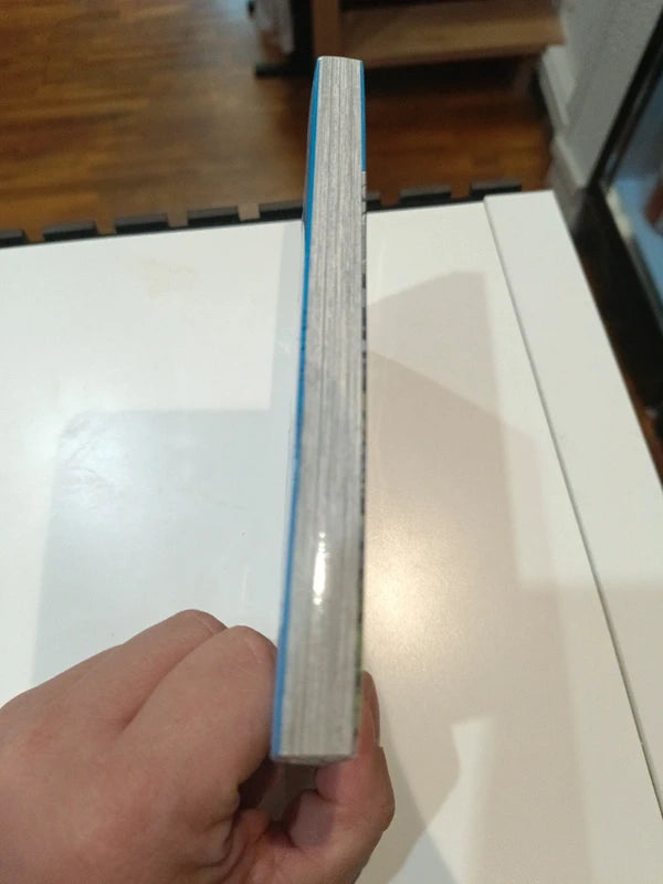 Villageois LVL 999 tome 2 Manga Family Store